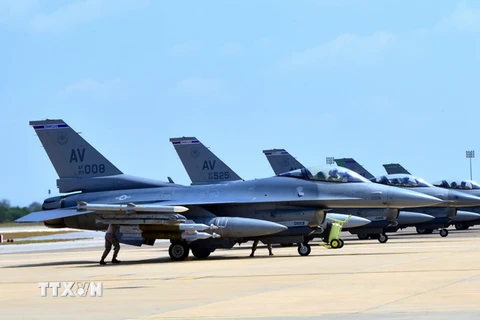 Máy bay F-16. (Nguồn: AFP/TTXVN)
