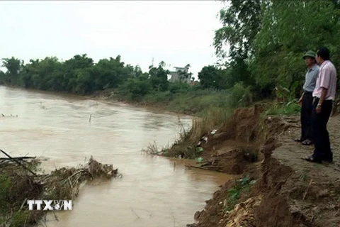 Đoạn bờ sông bị sạt lở đoạn qua thôn Phước Yên, xã Đại An, huyện Đại Lộc. (Ảnh: Đoàn Hữu Trung/TTXVN)