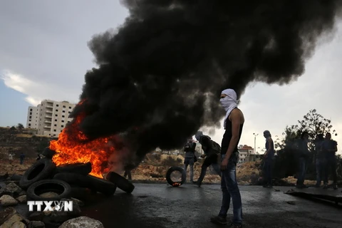 Thanh niên Palestine ném đá trong cuộc đụng độ với lực lượng an ninh Israel tại Al-Bireh, Bờ Tây ngày 26/10. (Nguồn: AFP/TTXVN)