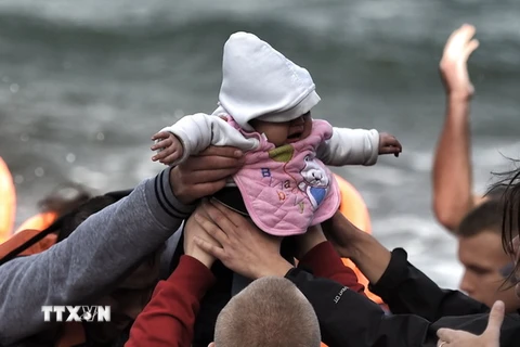 Người di cư trong chuyến hành trình vượt biển đầy nguy hiểm tới đảo Lesbos, Hy Lạp ngày 31/10. (Nguồn: AFP/TTXVN)