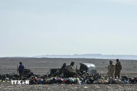 Mảnh vỡ máy bay Nga tại Wadi al-Zolomat, bán đảo Sinai, Ai Cập ngày 1/11. (Nguồn: AFP/TTXVN)