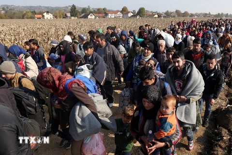 Người di cư di chuyển tới trại tị nạn ở Rigonce, gần biên giới với Croatia ngày 26/10. (Nguồn: AFP/TTXVN)