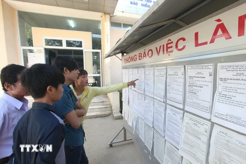 Các lao động tìm hiểu thông tin việc làm tại Trung tâm Dịch vụ việc làm tỉnh Thừa Thiên-Huế. (Ảnh: Anh Tuấn/TTXVN)