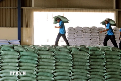 Gạo đặc sản tại Doanh nghiệp tư Nhân Cỏ May, huyện Châu Thành, Đồng Tháp. (Ảnh: An Hiếu/TTXVN)