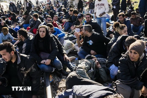 Người di cư từ Liberia, Maroc, Pakistan, Sri Lanka và Sudan tại khu vực Gevgelija ở biên giới Macedonia - Hy Lạp ngày 19/11. (Nguồn: AFP/TTXVN)