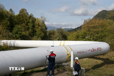 Công nhân kiểm tra đường ống dẫn khí đốt tại trạm cung cấp khí gần làng Volovets, miền tây Ukraine ngày 7/10. (Nguồn: Reuters/TTXVN)
