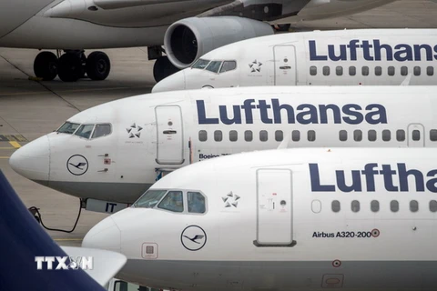 Máy bay của hãng hàng không Lufthansa tại sân bay ở Frankfurt am Main, miền tây nước Đức ngày 11/11. (Nguồn: AFP/TTXVN)