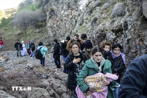 Người di cư từ Thổ Nhĩ Kỳ tới đảo Lesbos của Hy Lạp sau hành trình vượt biển Aegean ngày 26/11. (Nguồn: AFP/TTXVN)
