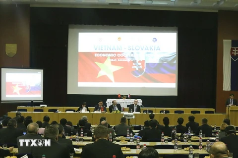 Phó Thủ tướng Hoàng Trung Hải dự Diễn đàn hợp tác kinh tế Việt Nam-Slovakia. (Ảnh: Hồng Tâm/TTXVN)