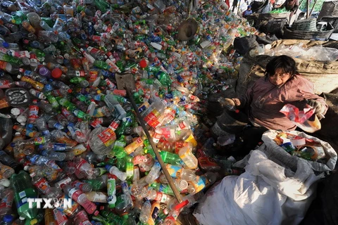 Công nhân phân loại các chai nhựa phế thải tại một cơ sở tái chế ở Hợp Phì, tỉnh An Huy, Trung Quốc. (Nguồn: AFP/TTXVN)
