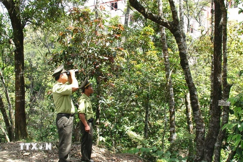 Lực lượng kiểm lâm Quảng Nam tuần tra bảo vệ Khu bảo tồn thiên nhiên Sông Thanh. (Ảnh: Ngô Lịch/TTXVN)