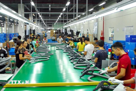 Dây chuyền sản xuất, lắp ráp thiết bị điện tử tại Công ty TNHH Hanmi Flexible Vina (100% vốn đầu tư Hàn Quốc) tại khu Công nghiệp Tràng Duệ. (Ảnh: Danh Lam/TTXVN)