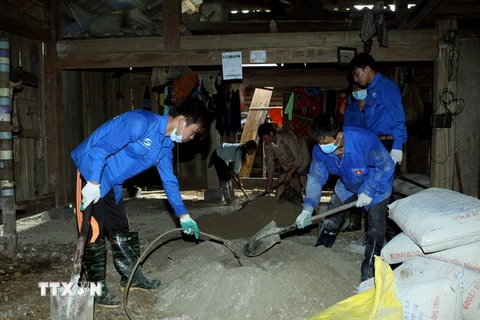 Sinh viên tình nguyện trộn vật liệu xây dựng chuẩn bị lát nền nhà cho các hộ dân có hoàn cảnh khó khăn. (Ảnh: Phạm Kiên/TTXVN)