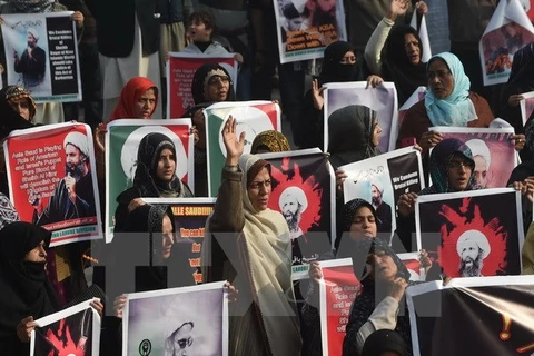 Quang cảnh cuộc biểu tình tại Lahore, Pakistan ngày 3/1/2016. (Nguồn: AFP/TTXVN) 