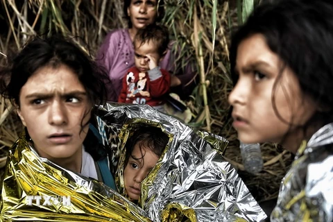 Người tị nạn Syria tại đảo Lesbos ngày 28/9/2015. (Nguồn: AFP/TTXVN)