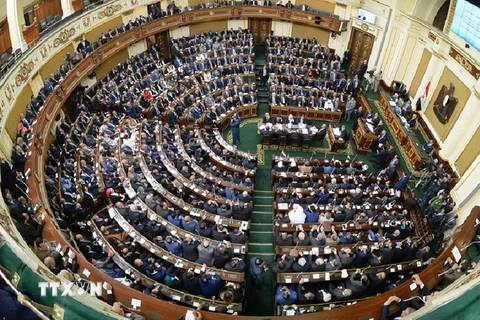 Toàn cảnh phiên họp Quốc hội mới của Ai Cập tại thủ đô Cairo ngày 10/01. (Nguồn: AFP/TTXVN)
