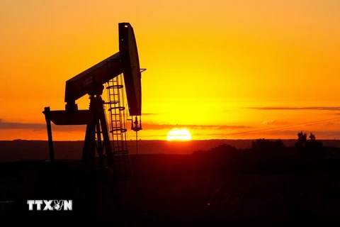 Khai thác dầu tại khu vực gần Tioga, Bắc Dakota, Hoa Kỳ ngày 21/8. (Nguồn: AFP/TTXVN)