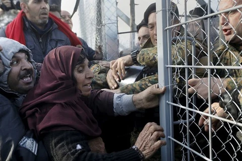 Người di cư từ Syria tại biên giới Macedonia và Hy Lạp. (Nguồn: Reuters)