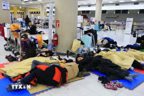 Khách du lịch phải nghỉ lại tại sân bay đảo Jeju khi các chuyến bay phải hủy bỏ do tuyết rơi dày, ngày 25/1. (Nguồn: AFP/TTXVN)