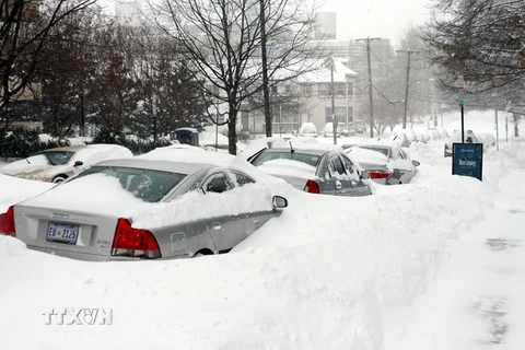 Nhiều ôtô bị tuyết lấp kín tại Washington DC. (Ảnh: Thanh Thuận/TTXVN)
