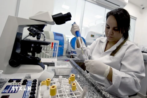 Chuyên gia phân tích mẫu máu nhằm phát hiện virus Zika tại phòng thí nghiệm ở Rio de Janeiro, Brazil ngày 25/1. (Nguồn: AFP/TTXVN)