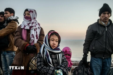 Người di cư Syria chờ để sang Hy Lạp sau khi bị cảnh sát Thổ Nhĩ Kỳ bắt giữ tại Canakkale, Thổ Nhĩ Kỳ ngày 27/1. (Nguồn: AFP/TTXVN)