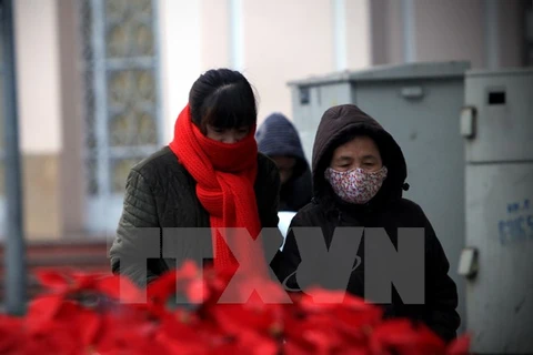 Người dân phải choàng áo và khăn ấm khi ra phố ở Hà Nội. (Ảnh: Trọng Đạt/TTXVN)