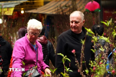 Chợ hoa Hàng Lược thu hút khách nước ngoài đến ngắm và mua hoa trong dịp Tết. (Ảnh: Tuấn Anh/TTXVN)