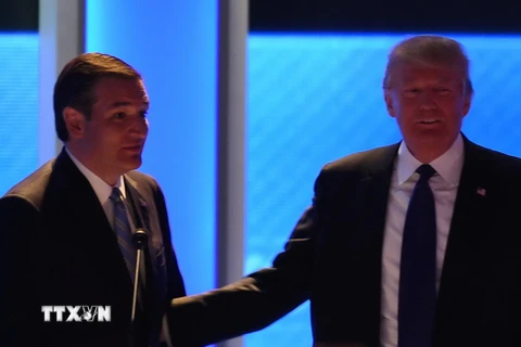 Thượng nghị sỹ bang Texas Ted Cruz (trái) và tỷ phú Donald Trump. (Nguồn: AFP/TTXVN)