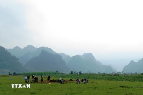 Quang cảnh ở xã Tân Hóa nơi đoàn làm phim chọn để làm cảnh quay cho phim Kong: Skull Island. (Ảnh: Mạnh Thành/TTXVN)