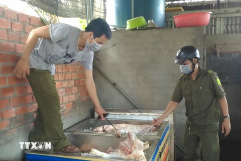 Gần 2,5 tấn thịt lợn đã bốc mùi bị cơ quan chức năng phát hiện. (Ảnh: Sỹ Tuyên/TTXVN)