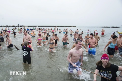 Người dân tham gia vui đùa trong cuộc thi “tắm gấu Bắc Cực”ở Toronto, Canada. (Nguồn: THX/TTXVN)