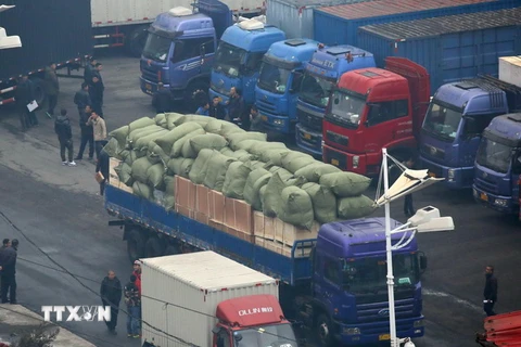 Xe tải của Trung Quốc chờ làm thủ tục tại trạm kiểm soát của hải quan ở thị trấn cửa khẩu Dandong, giáp giới với thị trấn Sinuiju của Triều Tiên ngày 3/3. (Nguồn: AFP/TTXVN)