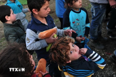 Trẻ em Syria chờ nhận lương thực cứu trợ tại các trại tị nạn dọc biên giới Hy Lạp- Macedonia ngày 11/3. (Nguồn: AFP/TTXVN)