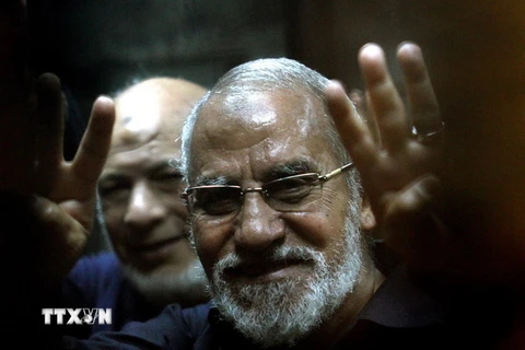 Thủ lĩnh tổ chức Anh em Hồi giáo (MB) Mohamed Badie tại một phiên tòa ở thủ đô Cairo, Ai Cập ngày 8/5/2014. (Nguồn: AFP/TTXVN)