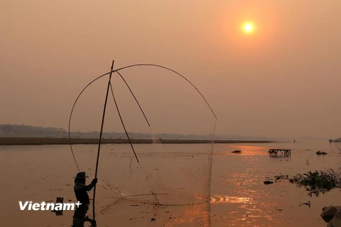 Một cồn cát vốn là sân chơi tại Vientiane (Lào) bị chia cắt và đã lác đác có người dân ra đây đánh cá khi nước sông Mekong dâng nhanh. (Ảnh: Phạm Kiên/Vietnam+)
