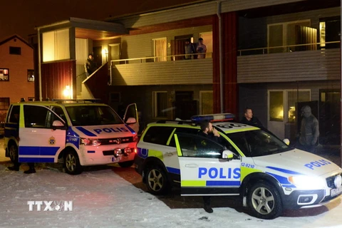 Cảnh sát Thụy Điển làm nhiệm vụ trong cuộc vây ráp ở Boliden, Tây Bắc Thụy Điển ngày 19/11. (Nguồn: AFP/TTXVN)