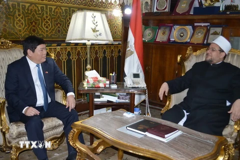 Phó Trưởng Ban Tôn giáo Chính phủ Bùi Thanh Hà tại cuộc làm việc với Bộ trưởng Bộ Truyền giáo Ai Cập Muhammad Mukhtar Jumu'ah. (Ảnh: Nguyễn Trường/TTXVN)
