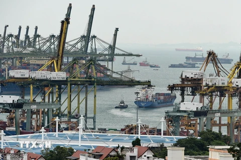 Cảng container Pasir Panjang PSA, Singapore. (Nguồn: AFP/TTXVN)