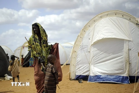 Trẻ em tị nạn Somalia chờ tiêm vắcxin phòng chống bệnh bại liệt và bệnh sởi tại trại tị nạn ở Dadaab, đông bắc Kenya. (Nguồn: AFP/TTXVN)