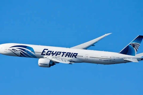 Một máy bay của EgyptAir. (Ảnh minh họa. Nguồn: punchng.com)