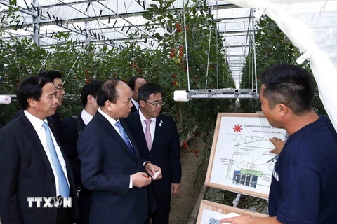 Thủ tướng Nguyễn Xuân Phúc đến thăm nông trại Yokoyama. (Ảnh: Thống Nhất/TTXVN)
