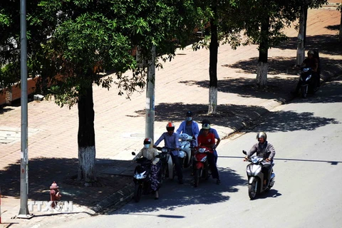 Người dân tại Hà Nội tranh thủ nghỉ dưới những gốc cây, gầm cầu vượt để tránh nắng nóng. (Ảnh: Quang Quyết/TTXVN)
