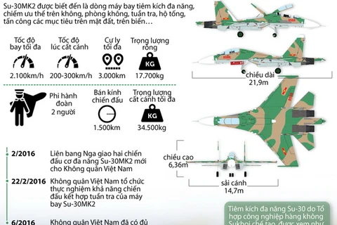 [Infographics] Việt Nam đã có gần 40 tiêm kích Su-30MK2