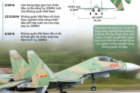 Mô hình máy bay Su-30. (Nguồn: Vietnam+)