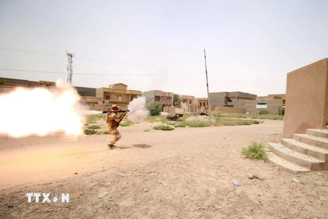 Lực lượng ủng hộ Chính phủ Iraq làm nhiệm vụ tại khu vực ngoại ô thành phố Fallujah ngày 19/6. (Nguồn: EPA/TTXVN)
