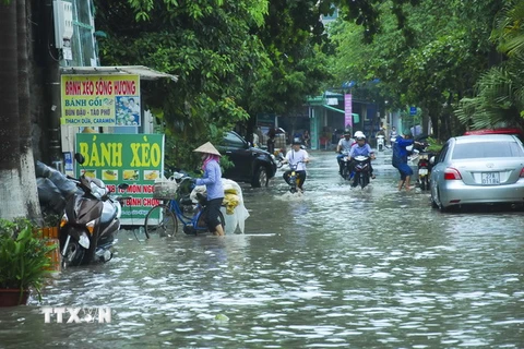 (Ảnh minh họa: Xuân Tư/TTXVN)