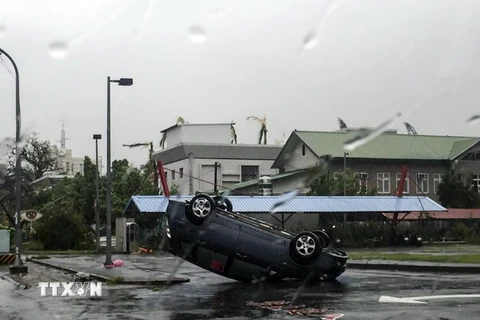 Cảnh đổ nát do bão Nepartak tại Đài Trung, Đài Loan (Trung Quốc) ngày 8/7. (Nguồn: EPA/TTXVN)