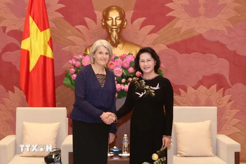 Chủ tịch Quốc hội Nguyễn Thị Kim Ngân tiếp Đại sứ Đan Mạch Charlotte Laursen. (Ảnh: Phương Hoa/TTXVN)
