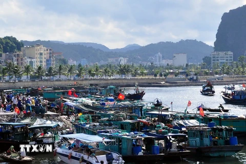 Các tàu thuyền về tránh bão tại khu vực cầu Bài Thơ, thành phố Hạ Long. (Ảnh: Nguyễn Hoàng/TTXVN)